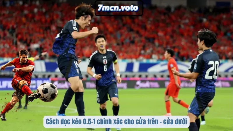 Kèo 0,5 – 1: Hiểu Đúng Tỷ Lệ Để Tránh Mất Tiền Oan 4 Cách đọc kèo 0.5–1 chính xác cho cửa trên – cửa dưới