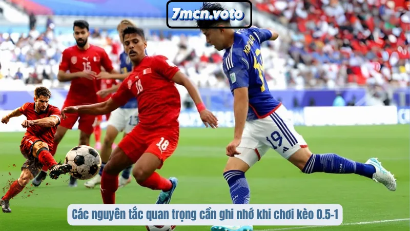Kèo 0,5 – 1: Hiểu Đúng Tỷ Lệ Để Tránh Mất Tiền Oan 5 Các nguyên tắc quan trọng cần ghi nhớ khi chơi kèo 0.5–1