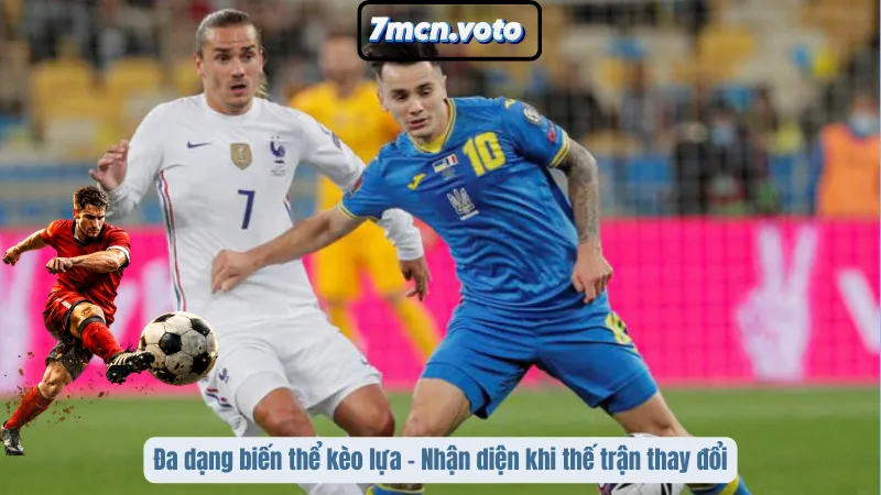 Kèo Lựa Là Gì? Cách Chọn Cửa Chuẩn Để Không Bị Nhà Cái Dắt Nhịp 2 Đa dạng biến thể kèo lựa - Nhận diện khi thế trận thay đổi