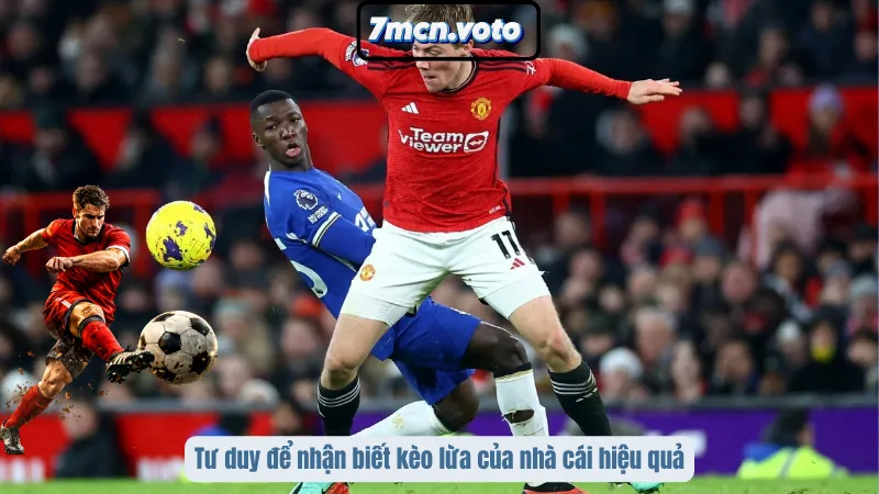 Tư duy để nhận biết kèo lừa của nhà cái hiệu quả
