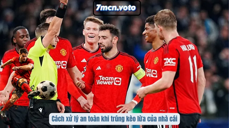 Cách xử lý an toàn khi trúng kèo lừa của nhà cái